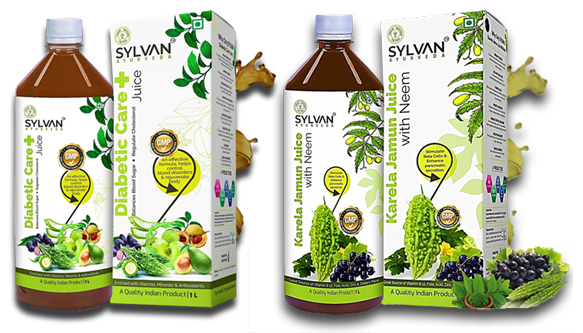 Sylvan Ayurveda